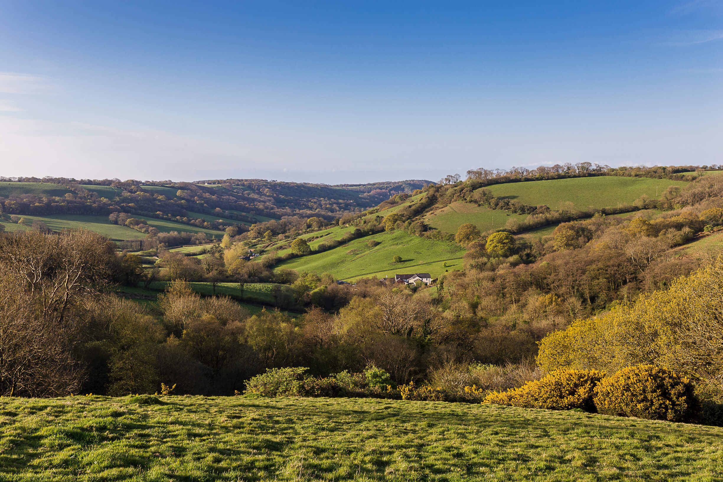 East Devon countryside © Matt Wilson