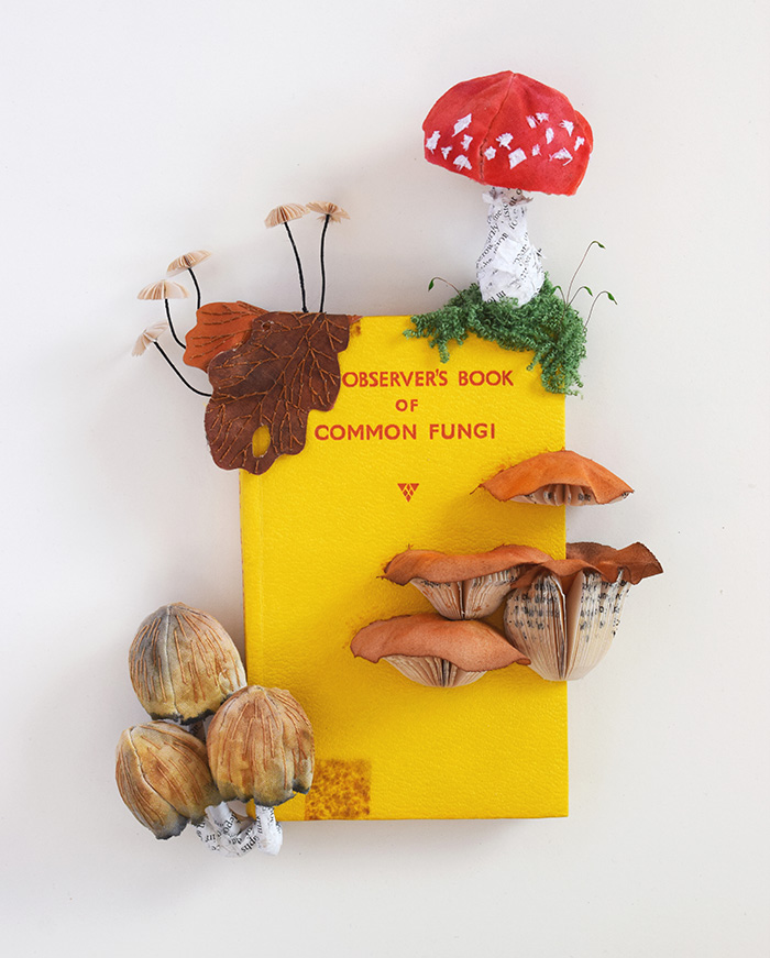 The Observer's Book of Common Fungi © Kate Kato