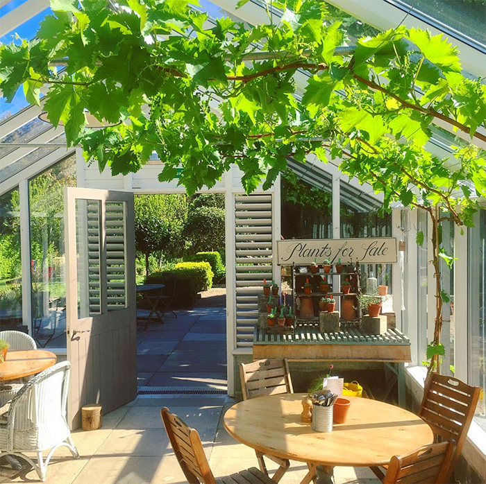 The converted greenhouse café in the Potager garden