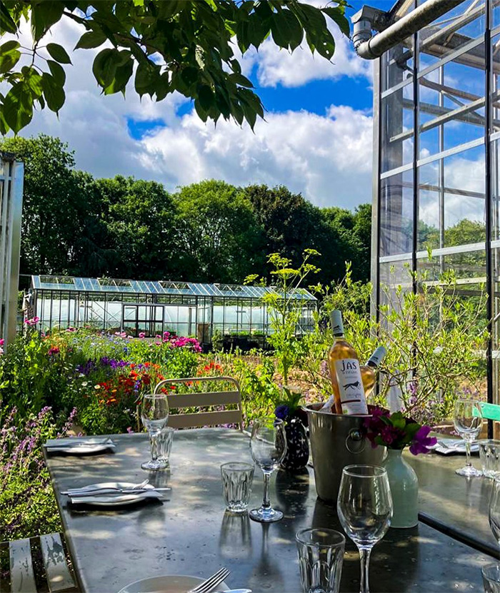 A view of the market garden at Worton Organic Garden